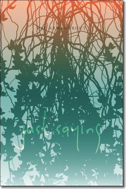 Vorderes Coverbild Just Saying