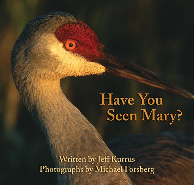 Vorderes Coverbild Have You Seen Mary?
