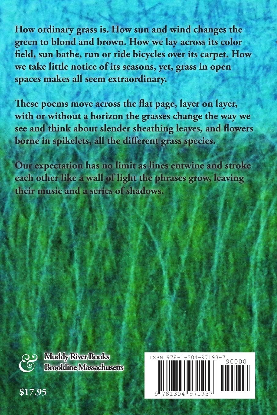 Rückseitencover turtle grass