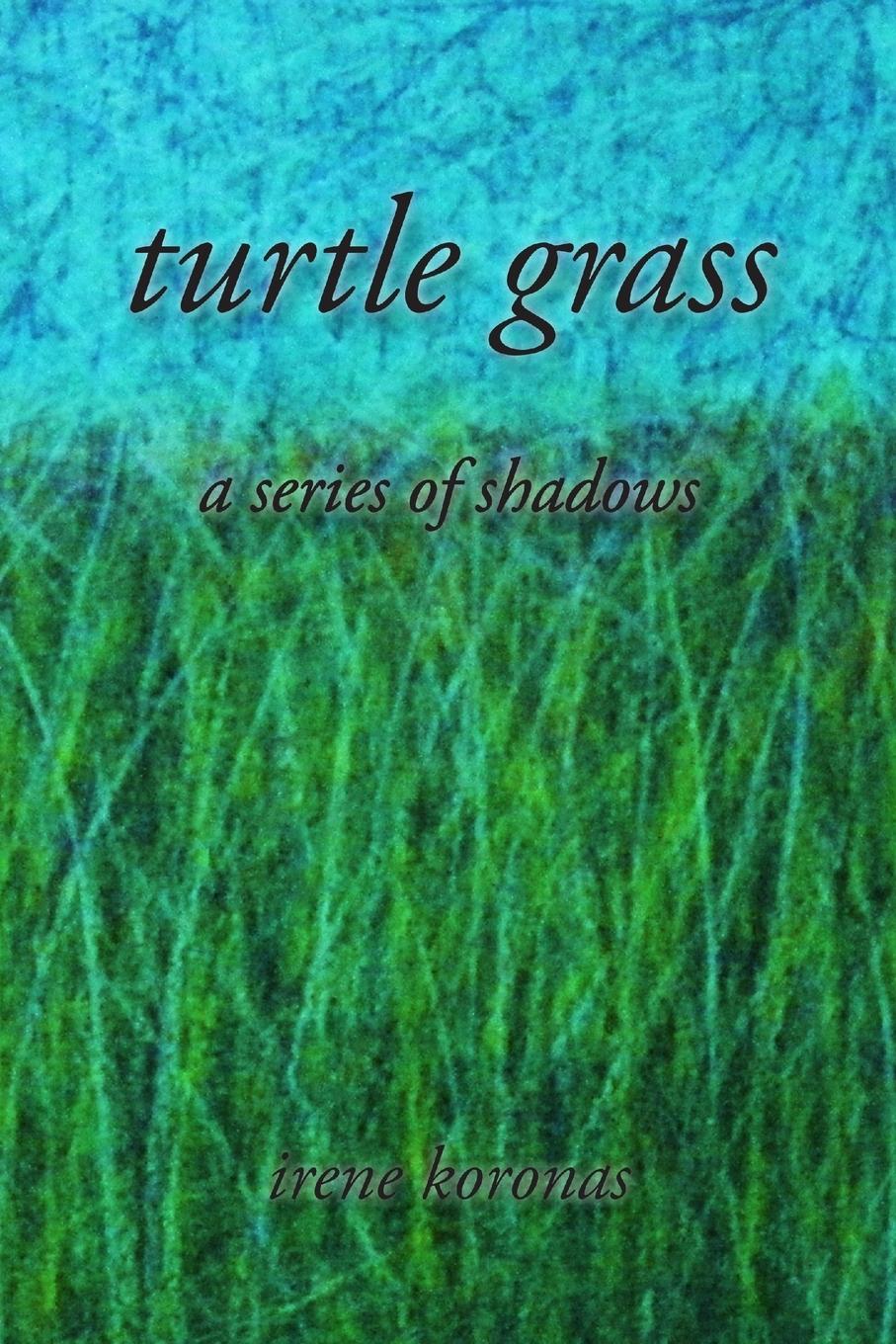 Vorderes Coverbild turtle grass