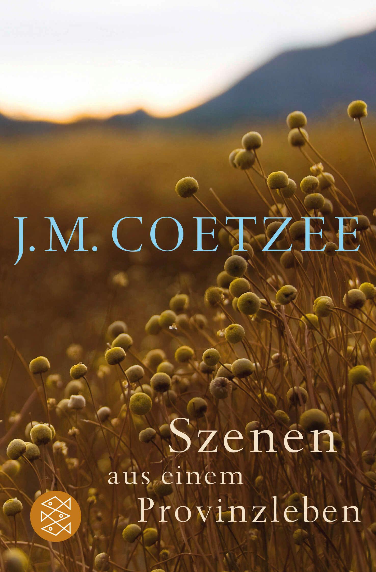 Vorderes Coverbild Szenen aus einem Provinzleben