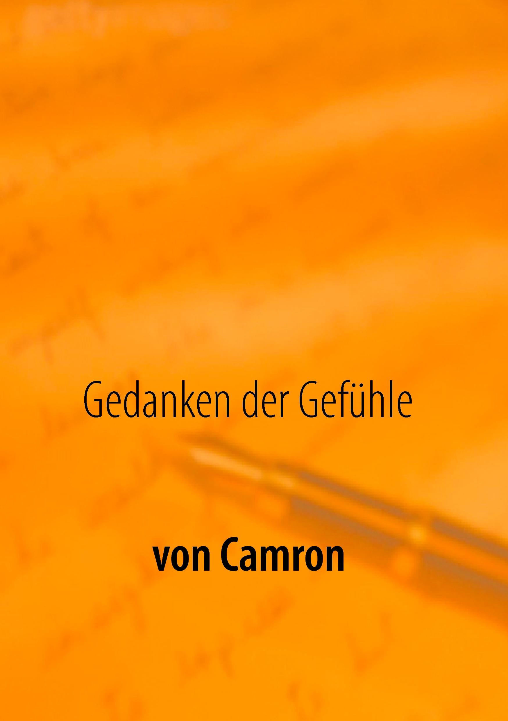 Vorderes Coverbild Gedanken der Gefühle