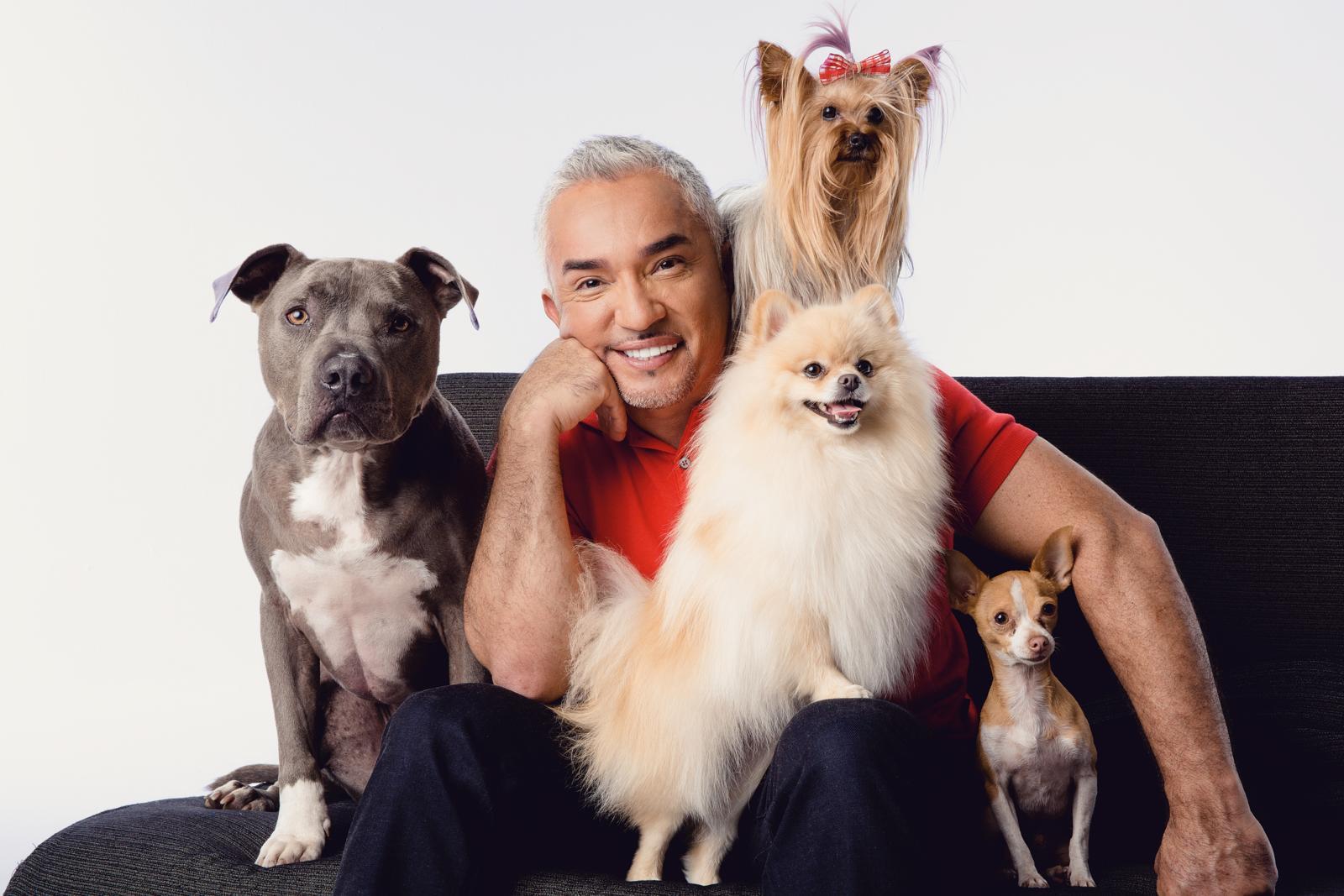 Autorenbild Die Glücksformel für den Hund