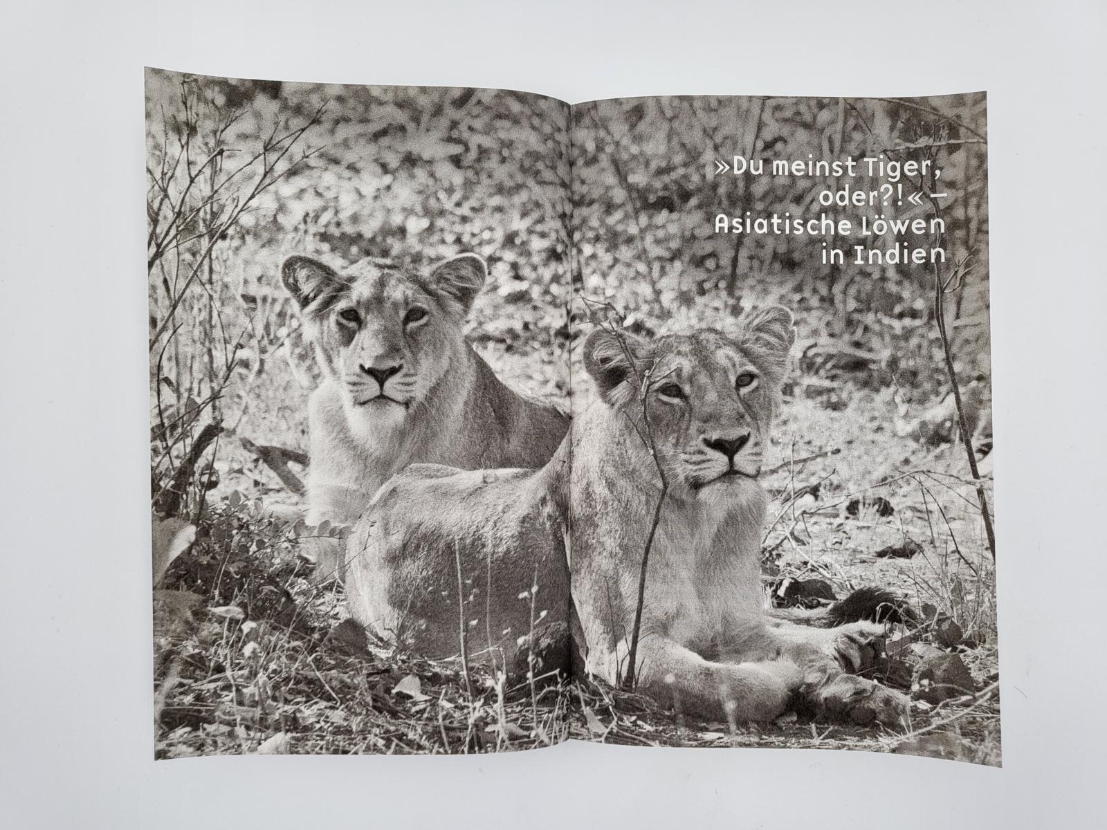 Beispielinhalt (Bild) Meine Expeditionen zu den Letzten ihrer Art