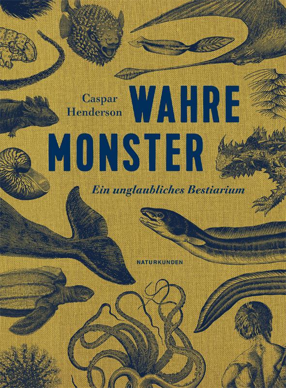Vorderes Coverbild Wahre Monster