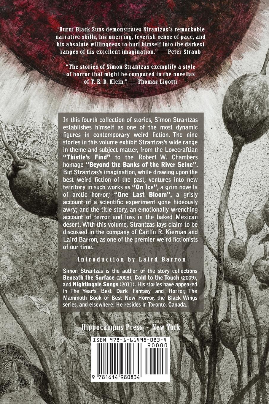 Rückseitencover Burnt Black Suns