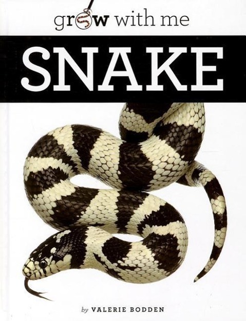Vorderes Coverbild Snake