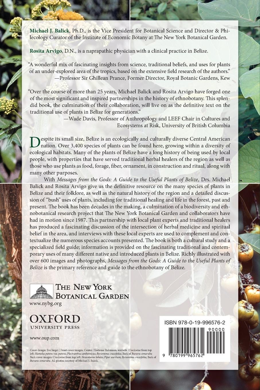 Rückseitencover Messages from the Gods