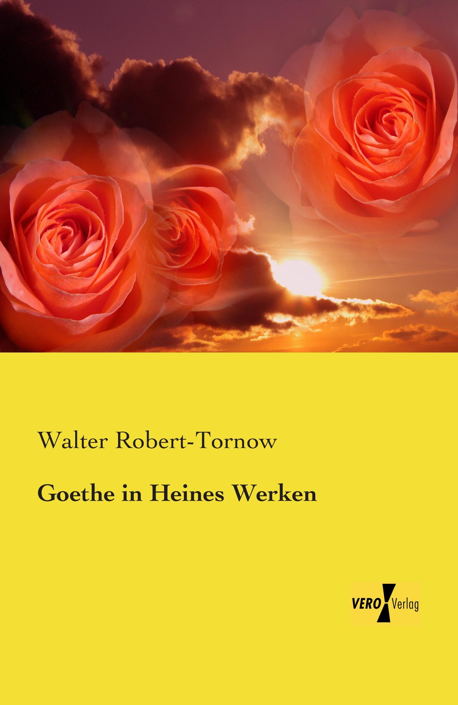 Vorderes Coverbild Goethe in Heines Werken