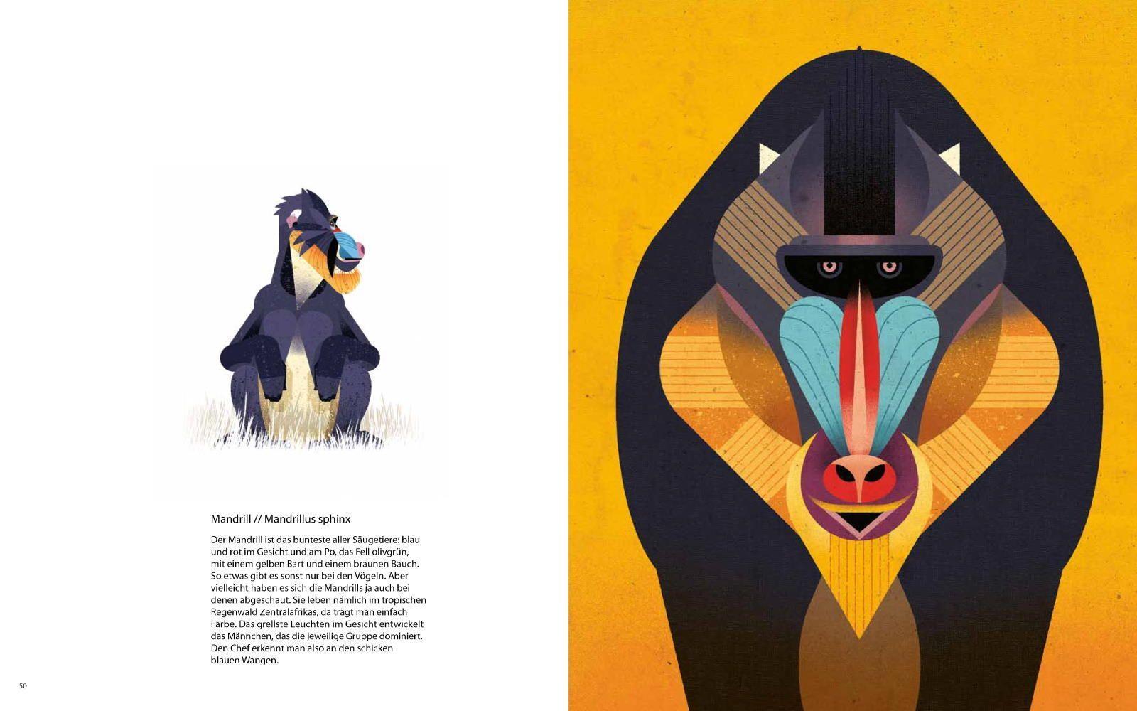 Beispielinhalt (Bild) Die Welt der wilden Tiere