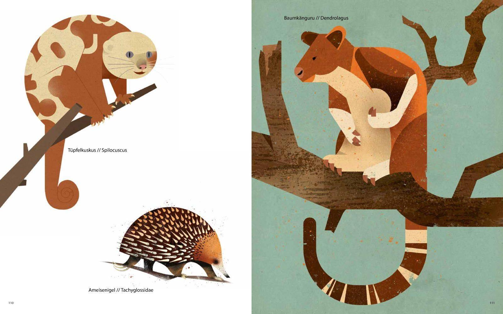 Beispielinhalt (Bild) Die Welt der wilden Tiere