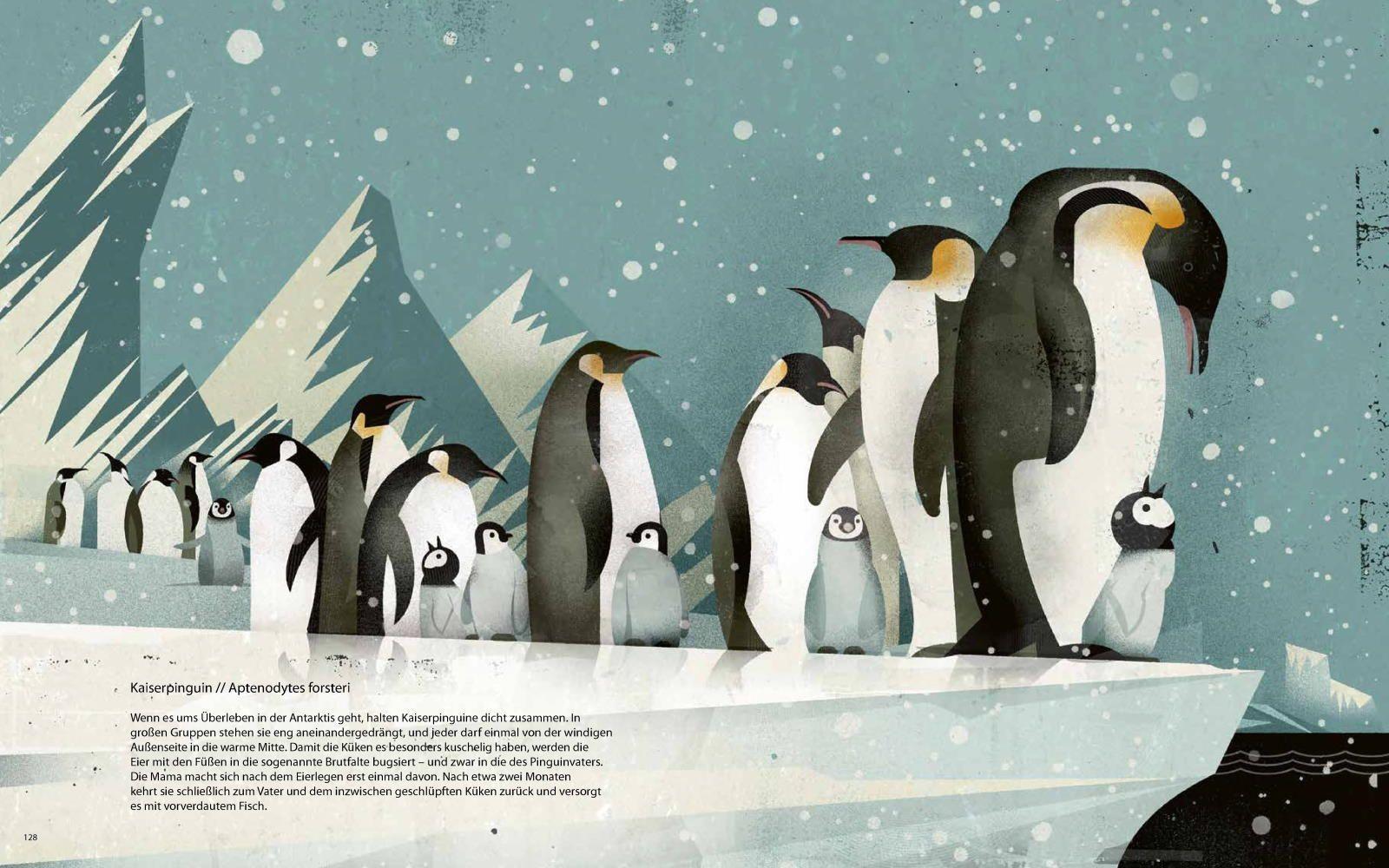 Beispielinhalt (Bild) Die Welt der wilden Tiere