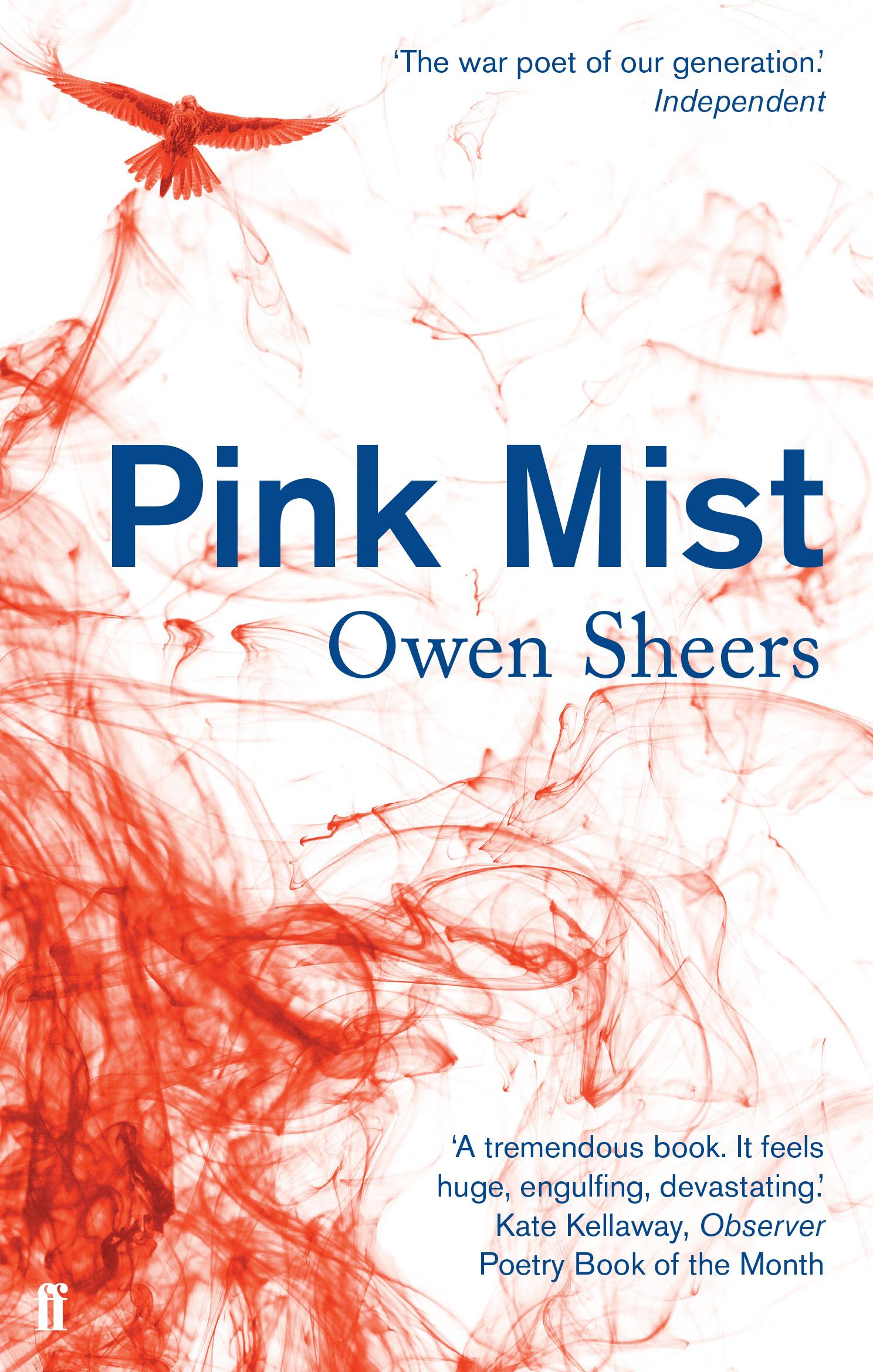 Vorderes Coverbild Pink Mist