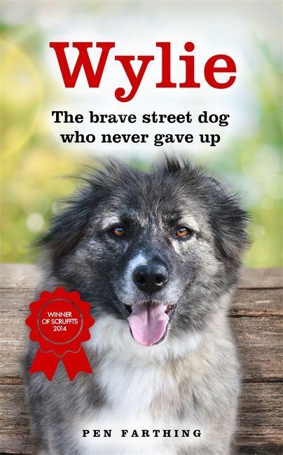 Vorderes Coverbild Wylie: The Brave Street Dog Who Never Gave Up