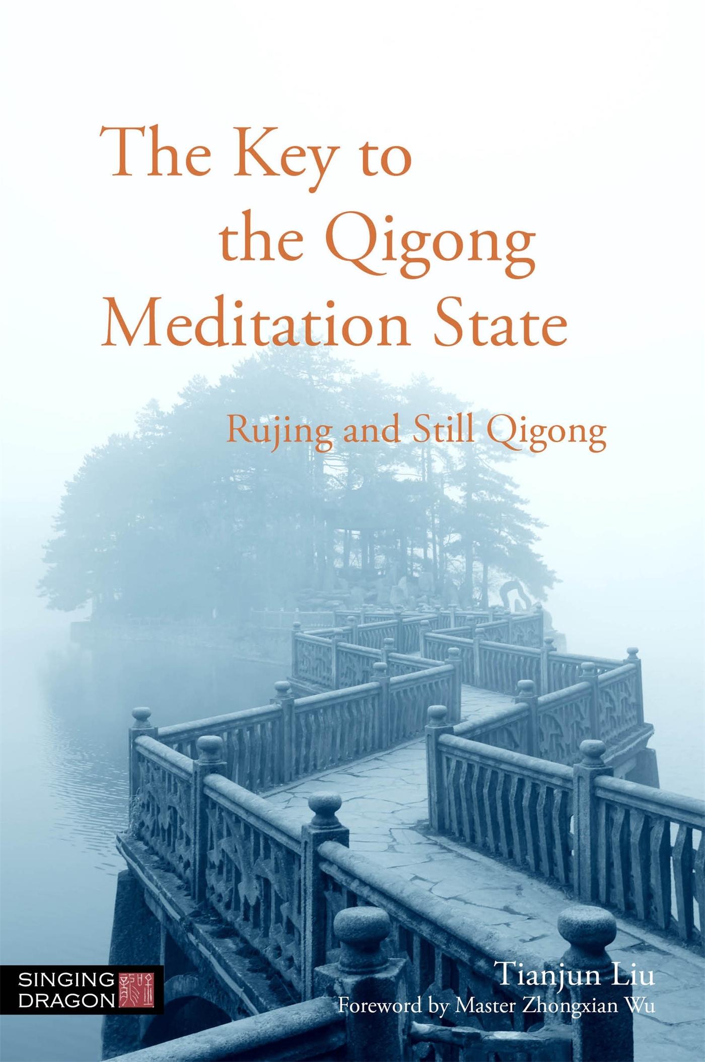 Vorderes Coverbild The Key to the Qigong Meditation State