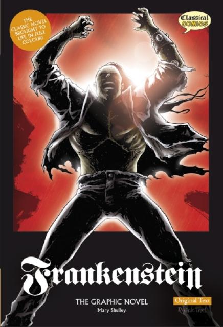 Vorderes Coverbild Frankenstein The Graphic Novel