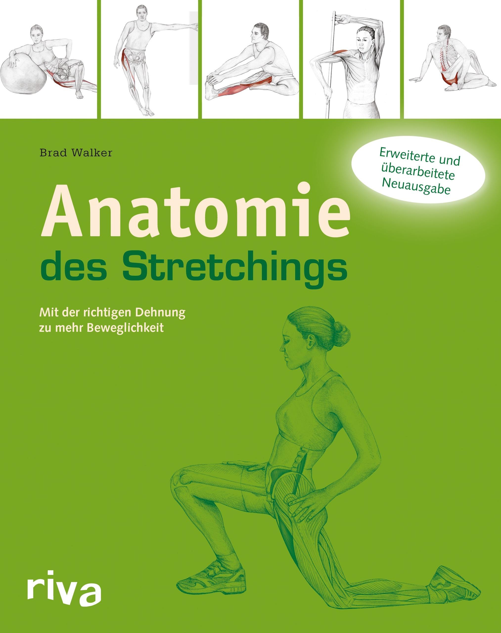 Vorderes Coverbild Anatomie des Stretchings
