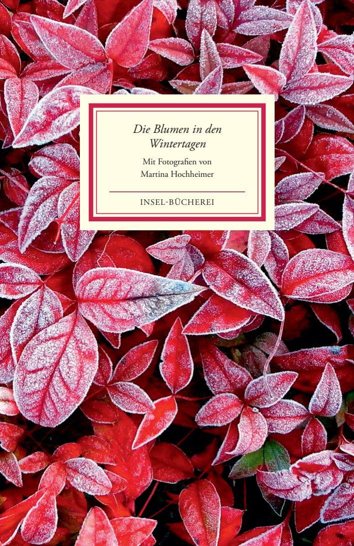 Vorderes Coverbild Die Blumen in den Wintertagen
