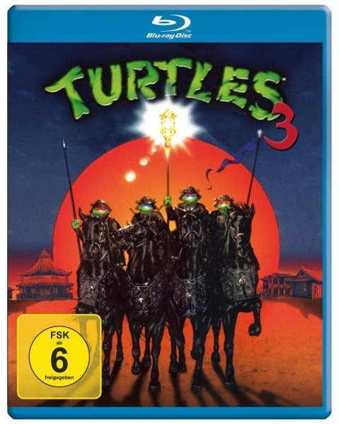 Vorderes Coverbild Turtles 3