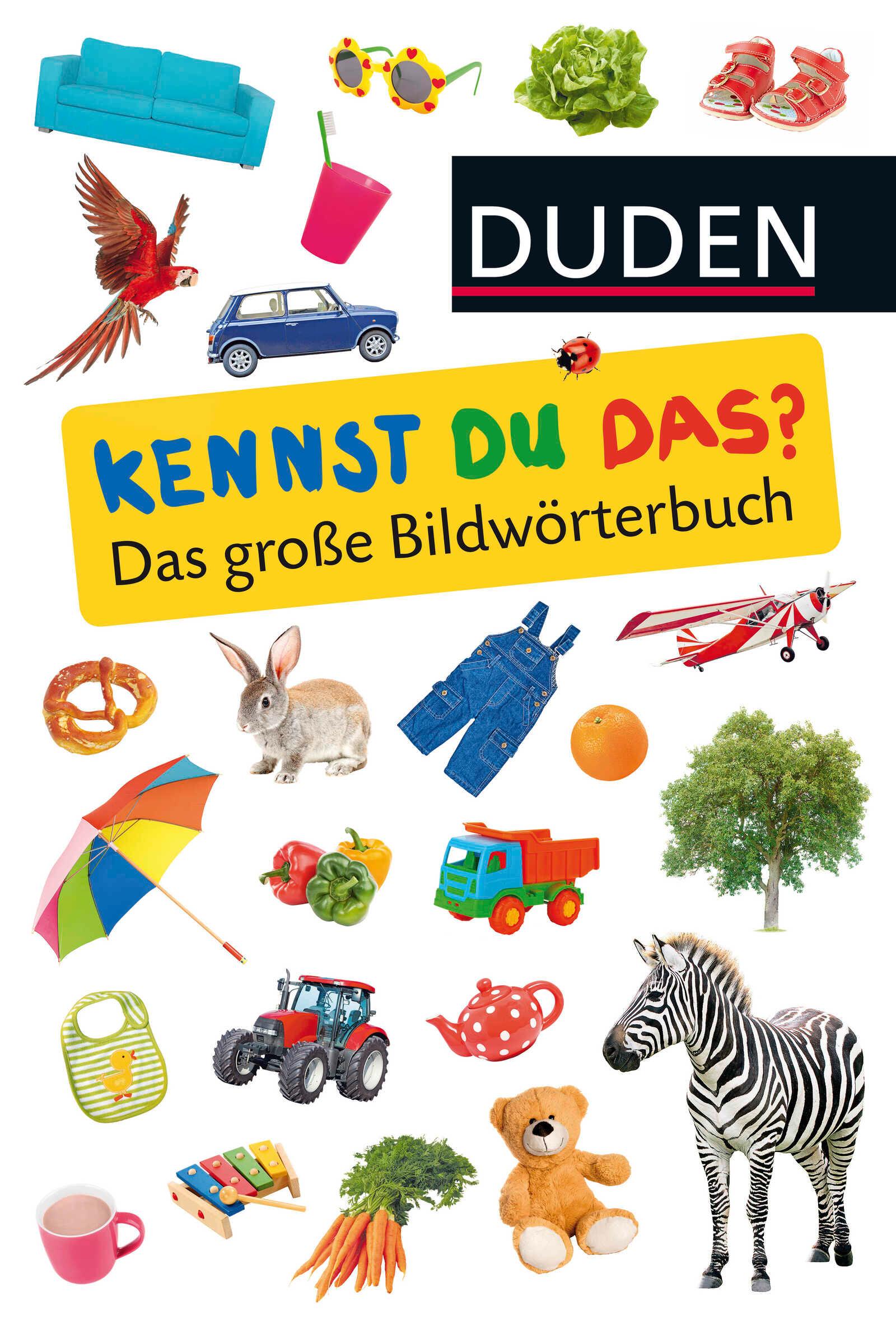 Vorderes Coverbild Kennst du das? Das große Bildwörterbuch