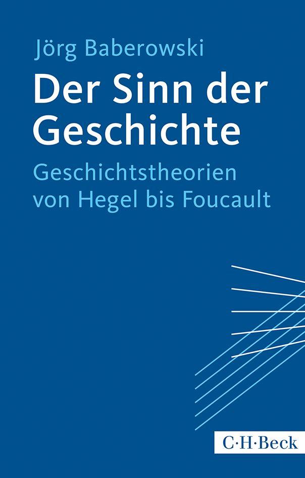 Vorderes Coverbild Der Sinn der Geschichte