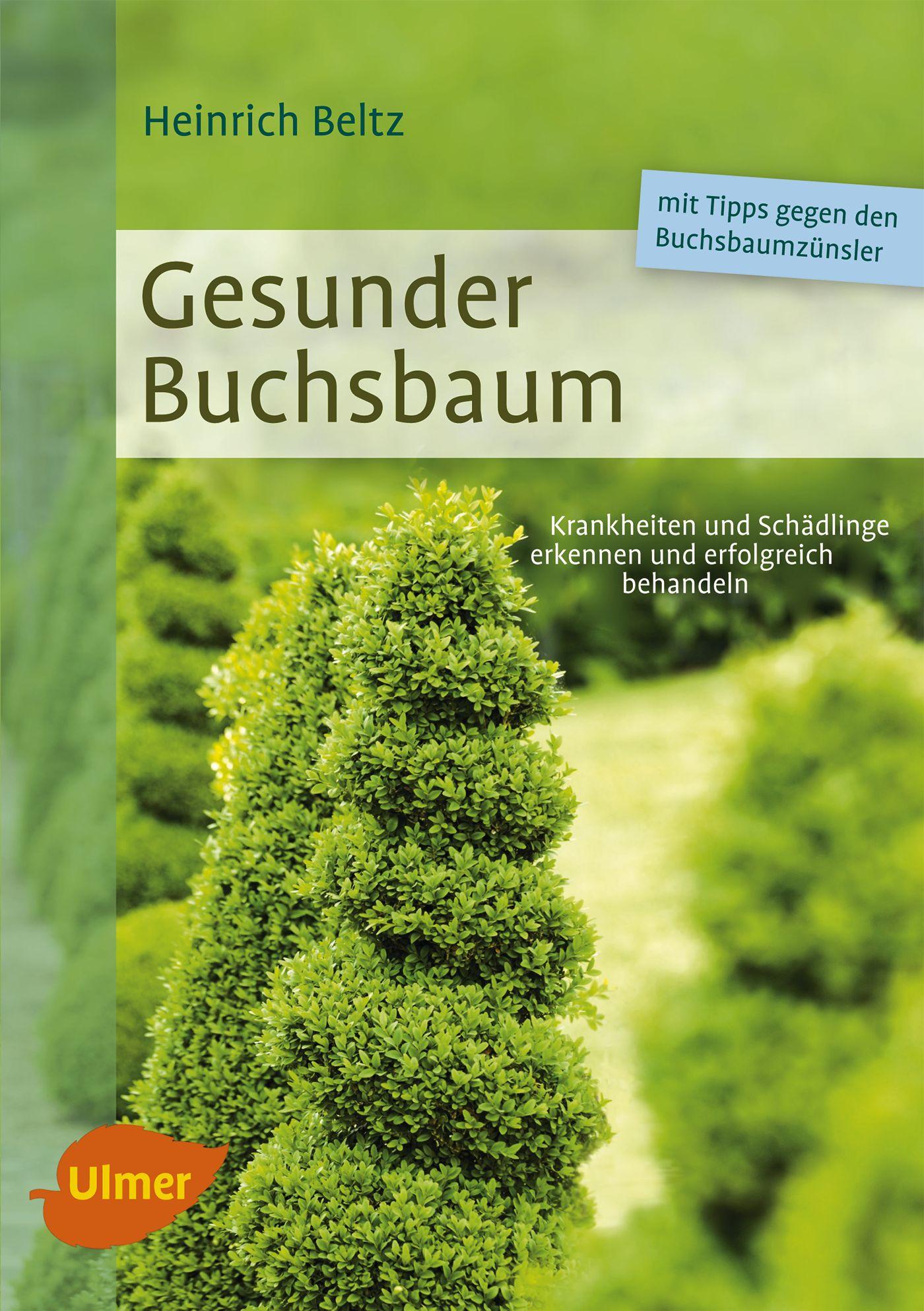 Vorderes Coverbild Gesunder Buchsbaum