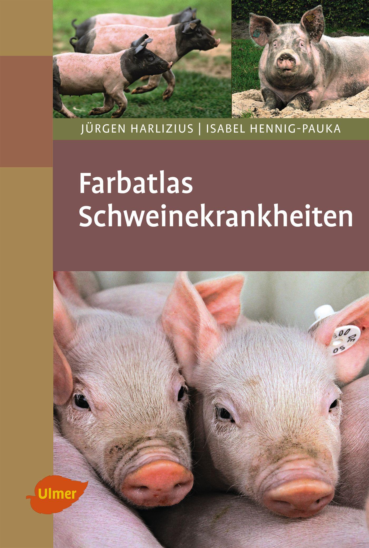 Vorderes Coverbild Farbatlas Schweinekrankheiten