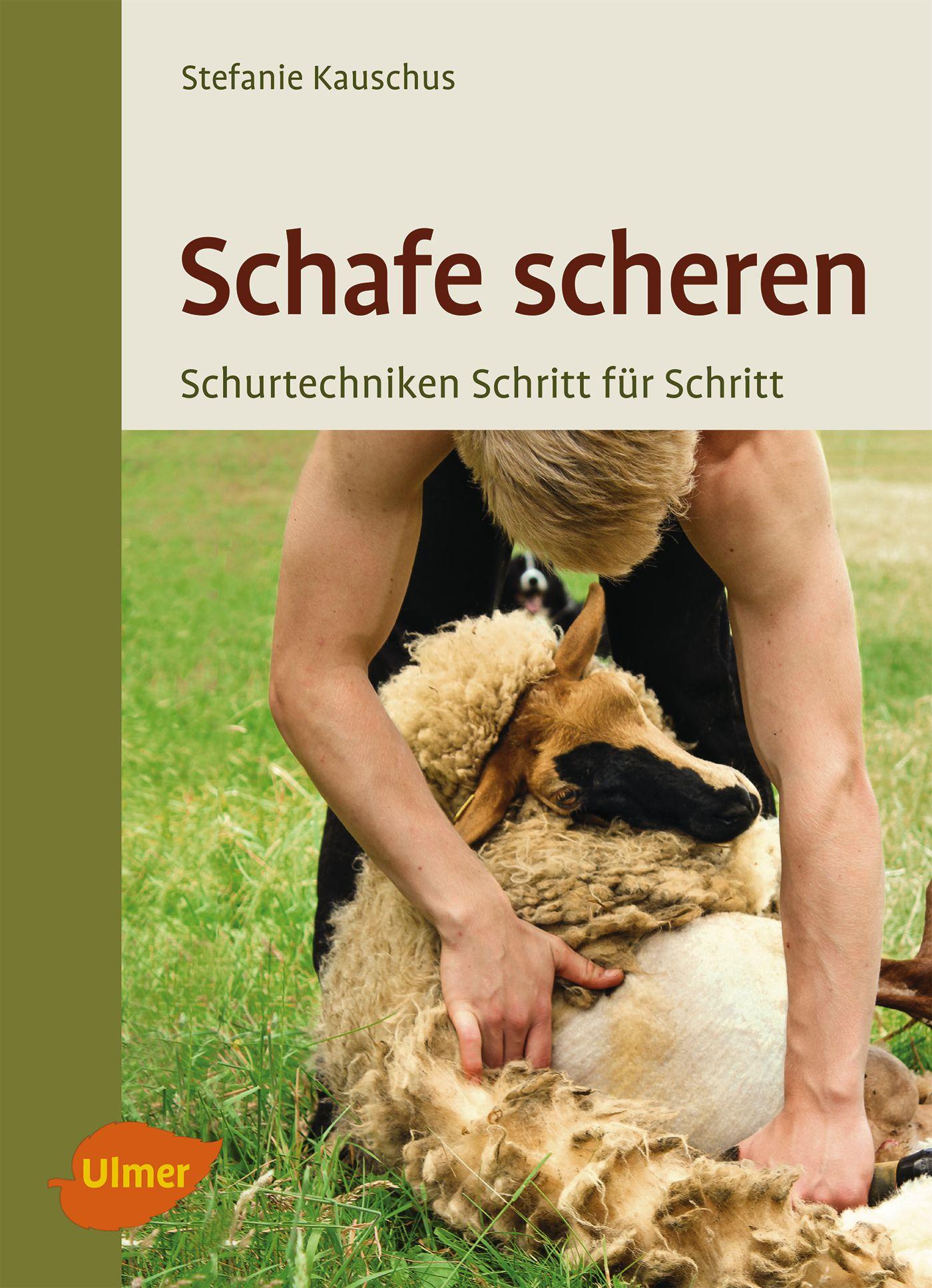 Vorderes Coverbild Schafe scheren