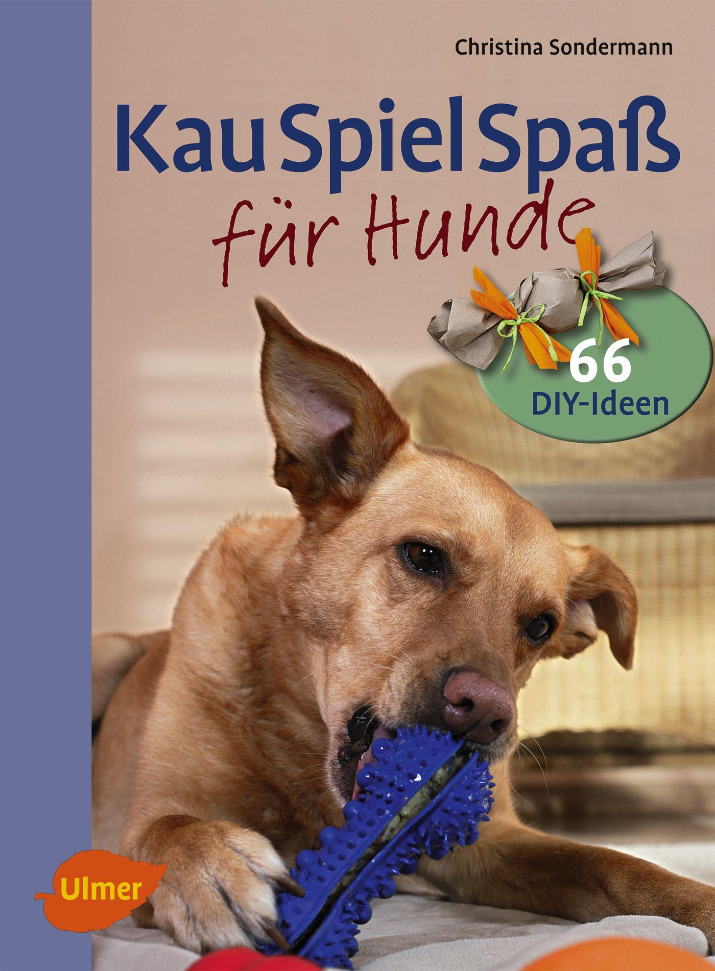 Vorderes Coverbild Kauspielspaß für Hunde