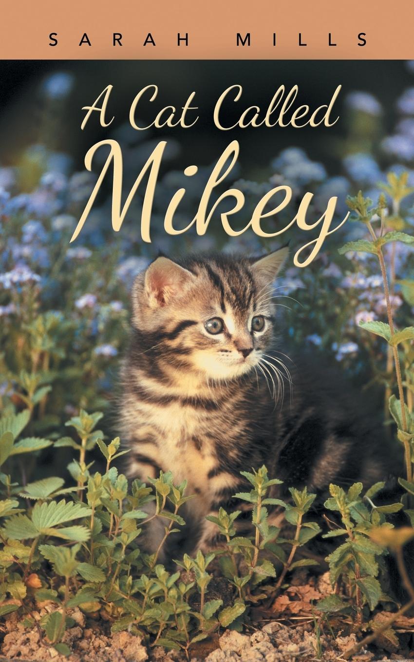 Vorderes Coverbild A Cat Called Mikey