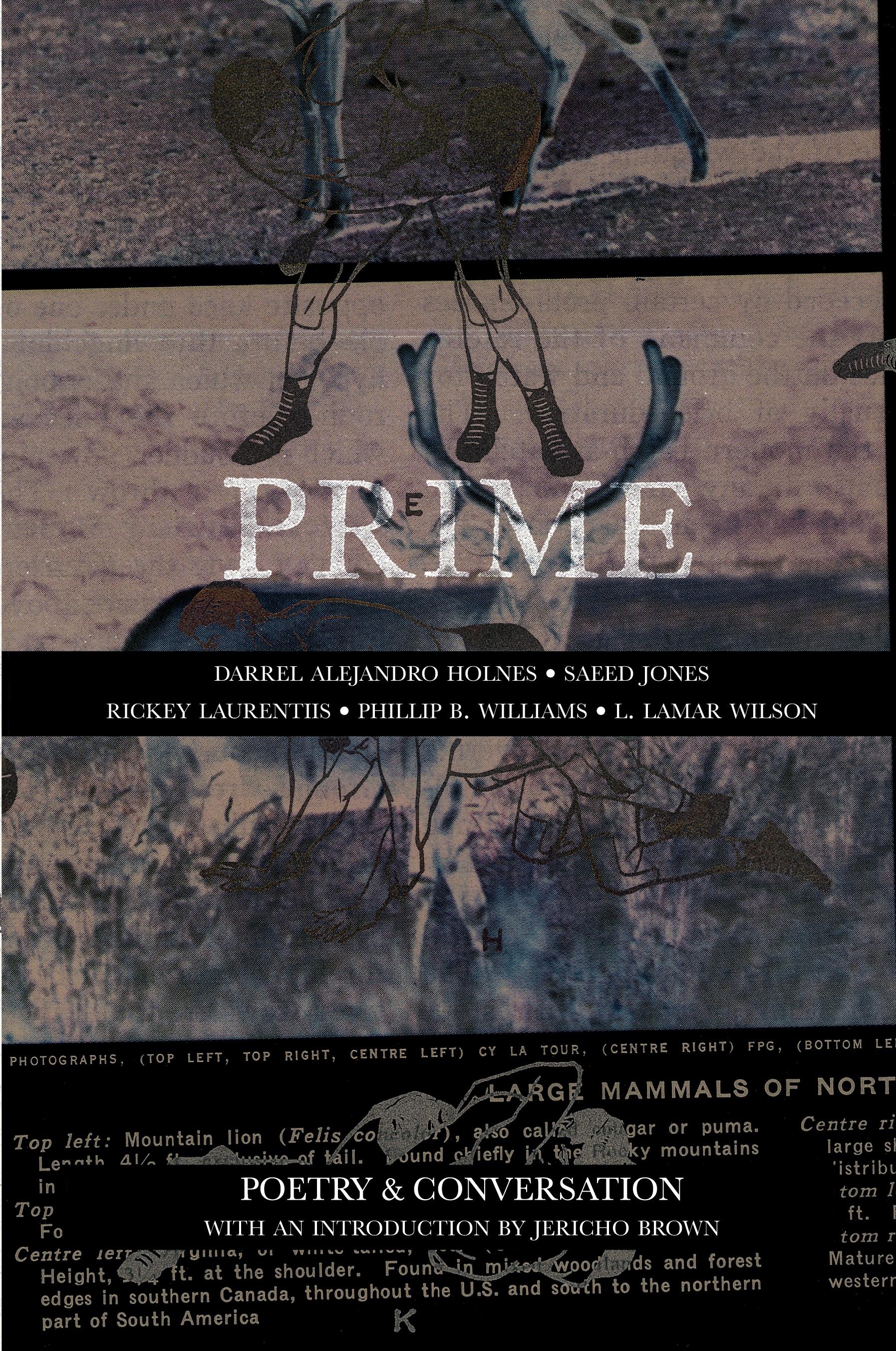 Vorderes Coverbild Prime