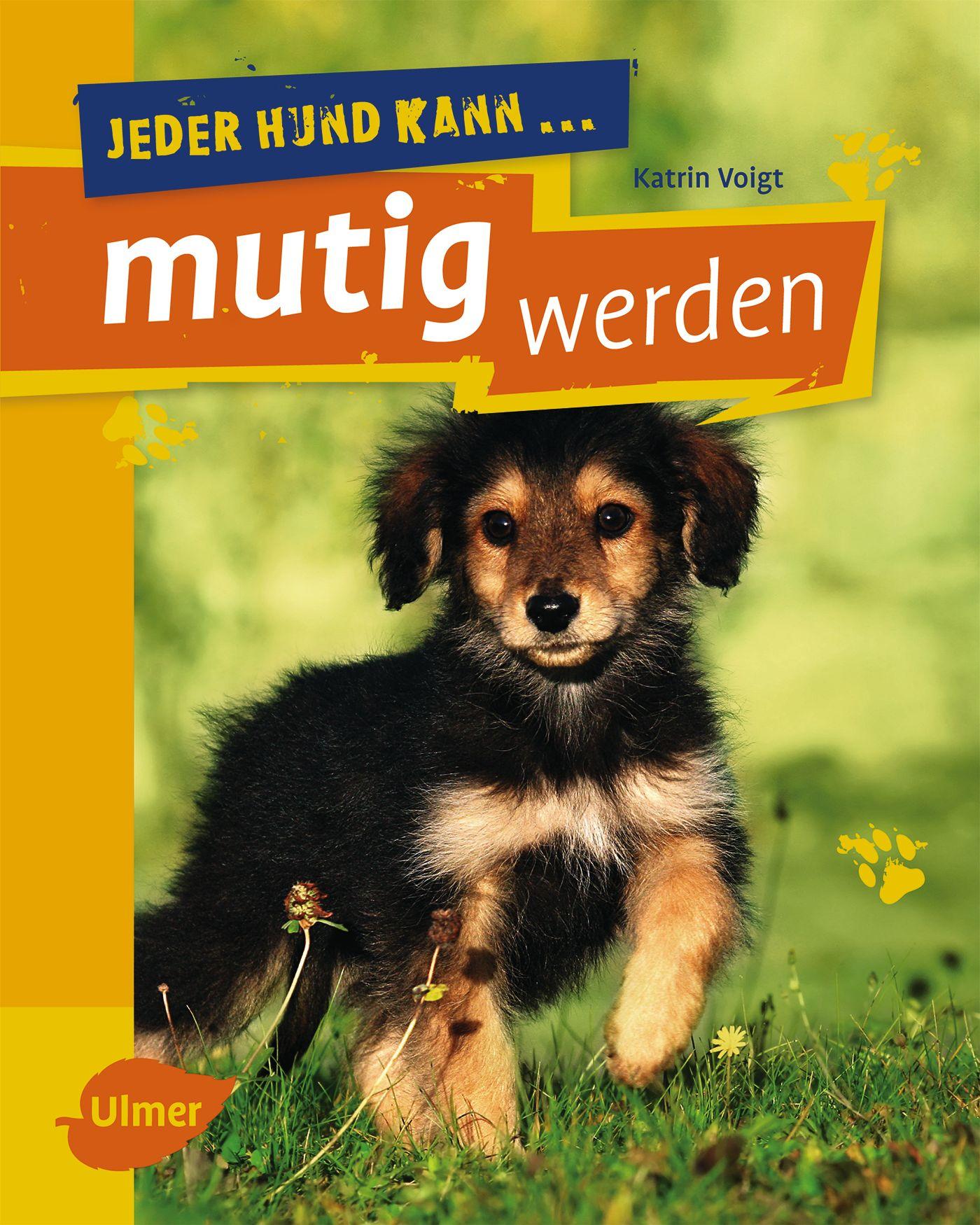 Vorderes Coverbild Jeder Hund kann mutig werden