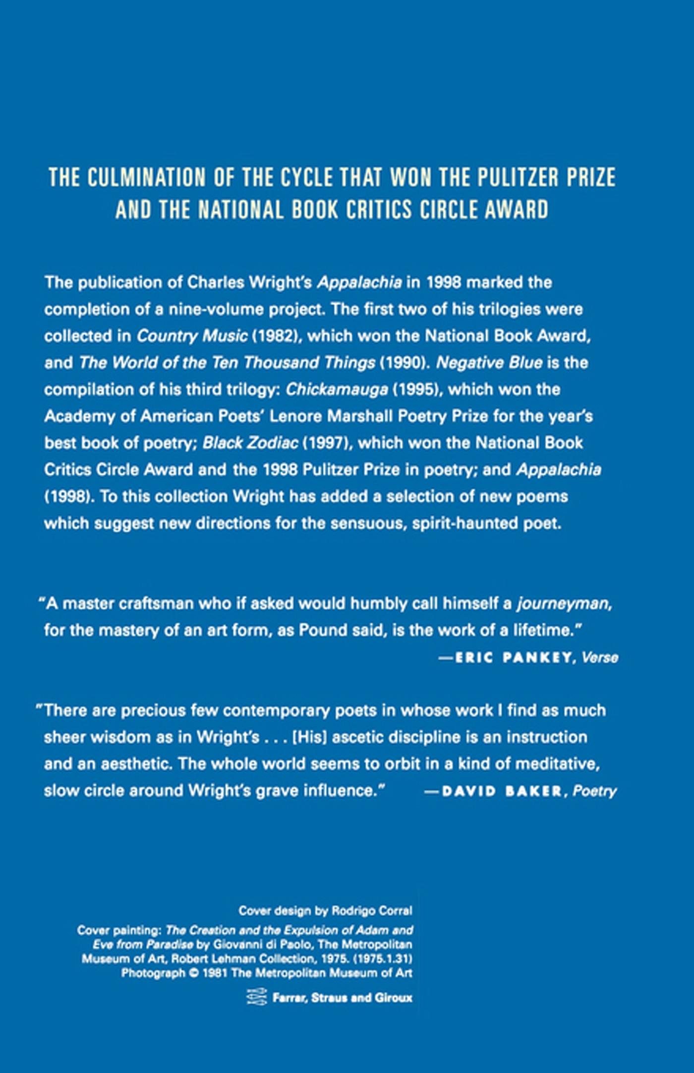 Rückseitencover Negative Blue