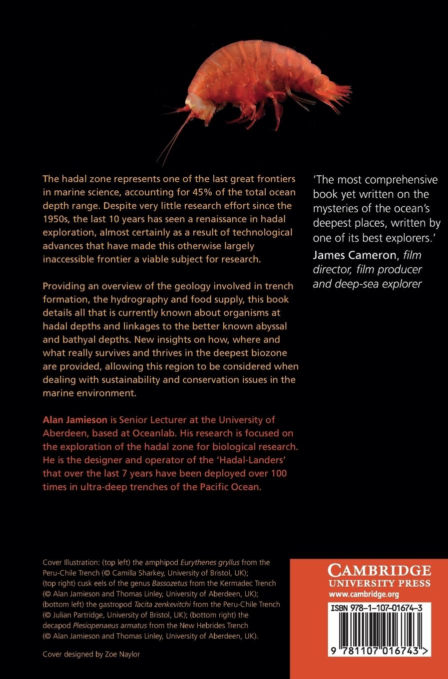 Rückseitencover The Hadal Zone