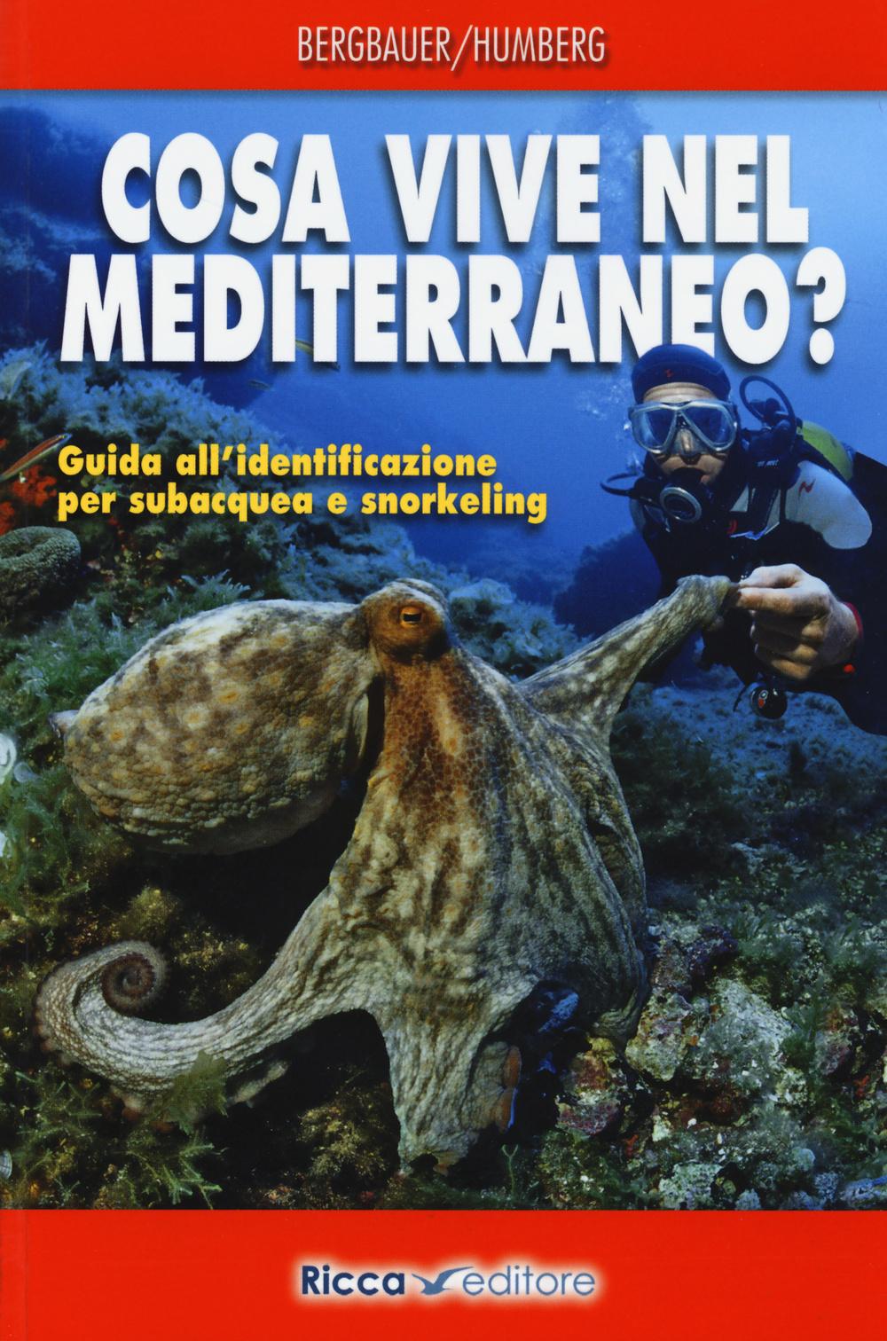Vorderes Coverbild Cosa vive nel Mediterraneo? Guida all'identificazione per i subacquea e snorkeling