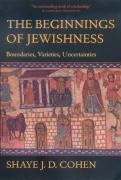 Vorderes Coverbild The Beginnings of Jewishness