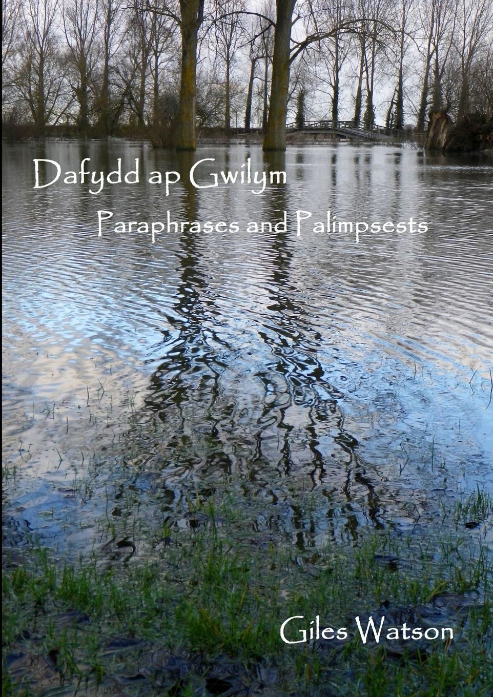 Vorderes Coverbild Dafydd AP Gwilym