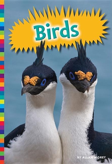 Vorderes Coverbild Birds