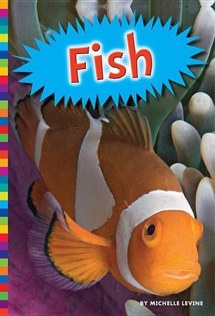 Vorderes Coverbild Fish