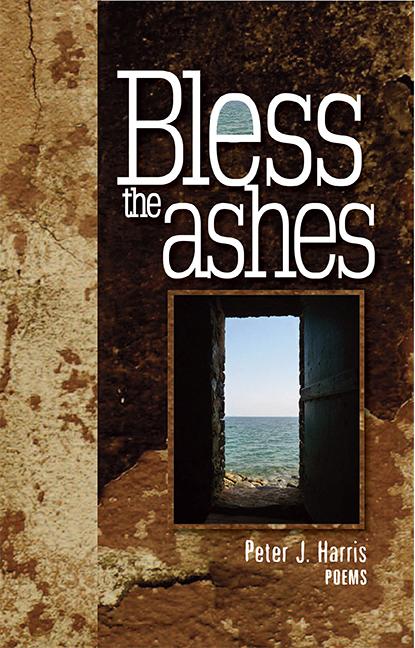 Vorderes Coverbild Bless the Ashes