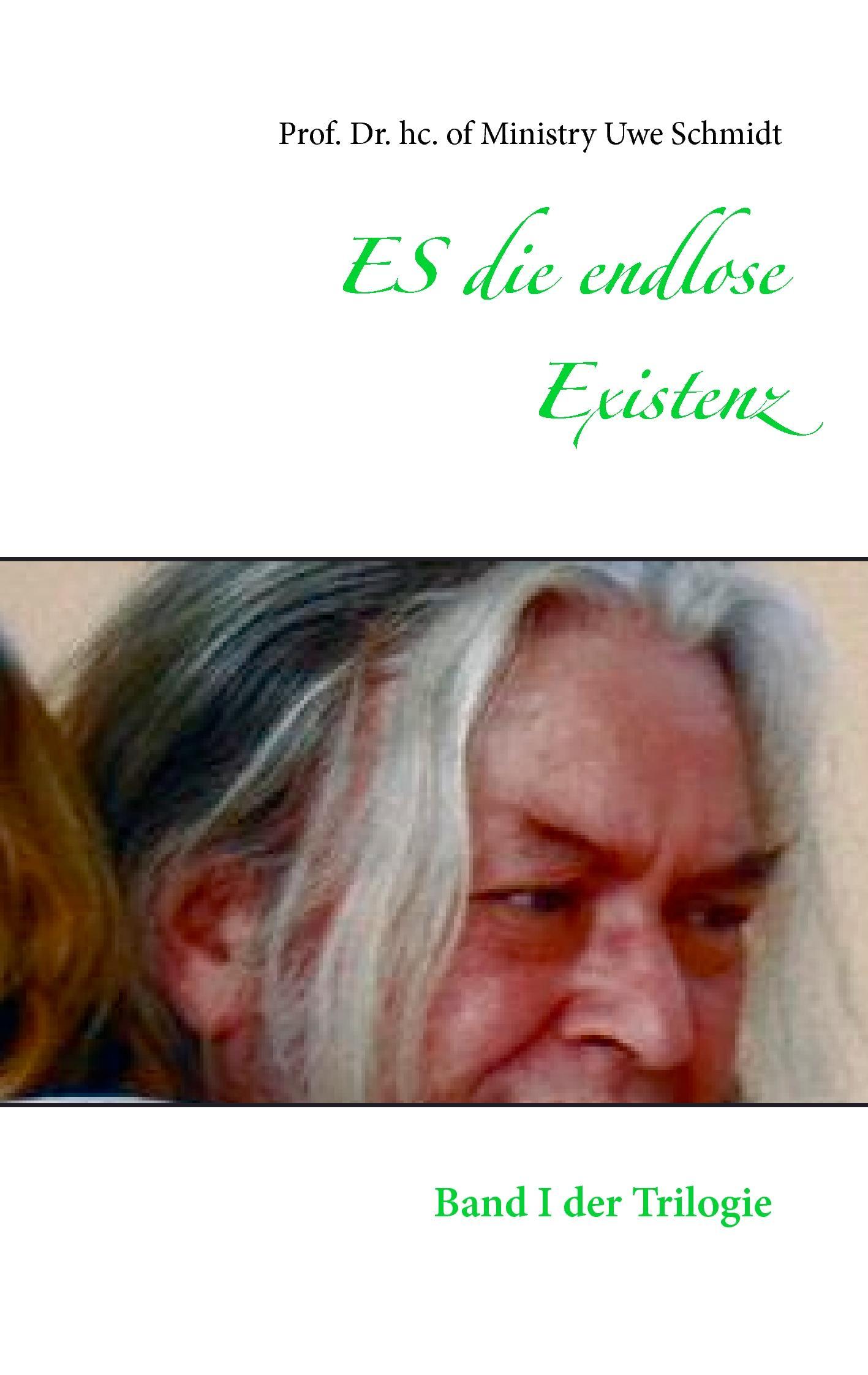 Vorderes Coverbild ES die endlose Existenz