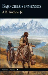 Vorderes Coverbild Bajo cielos inmensos