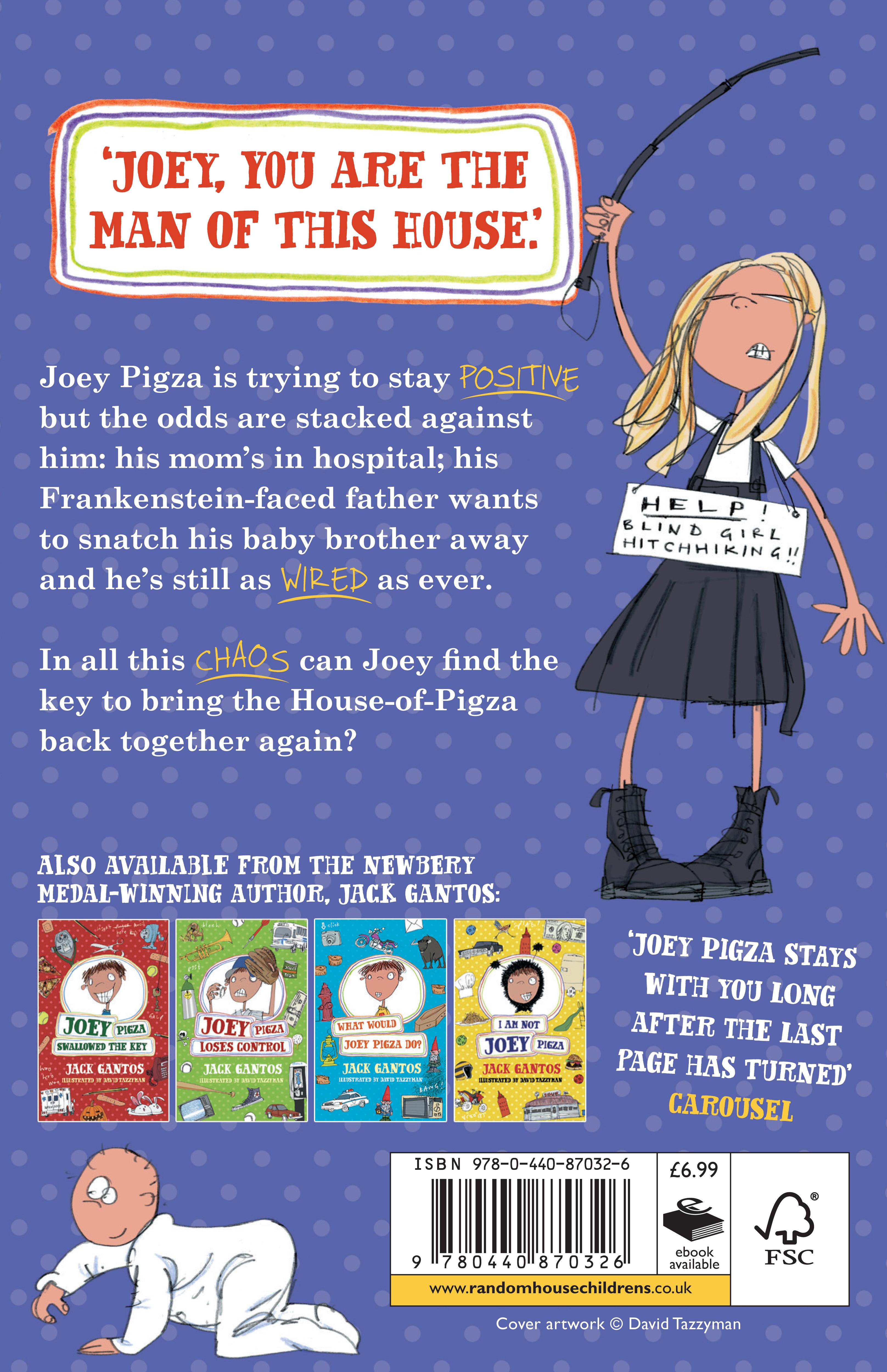 Rückseitencover The Key That Swallowed Joey Pigza