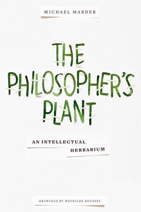 Vorderes Coverbild The Philosopher's Plant