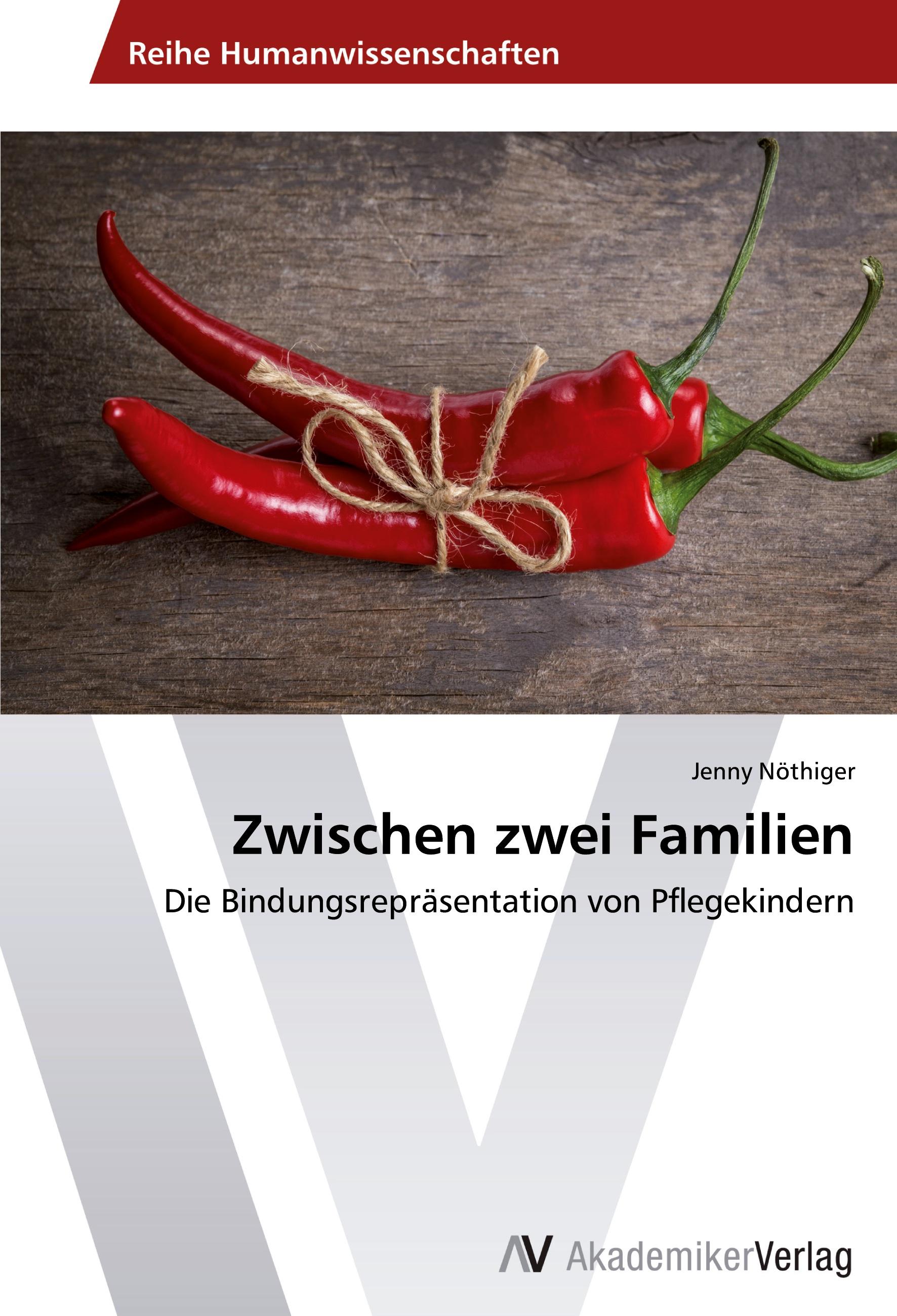 Vorderes Coverbild Zwischen zwei Familien