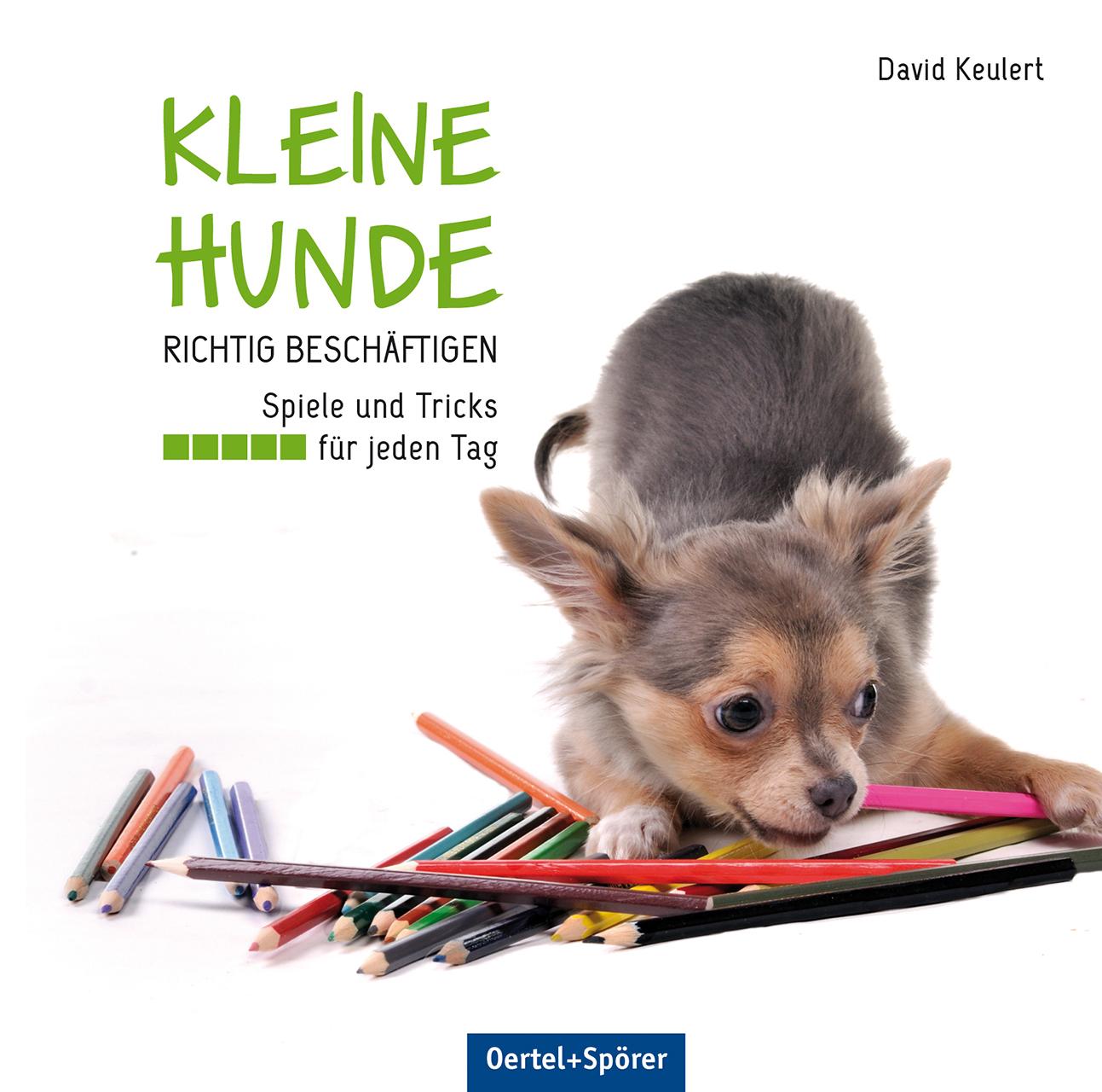 Vorderes Coverbild Kleine Hunde richtig beschäftigen