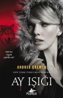Vorderes Coverbild Silüet 3 - Ay Isigi