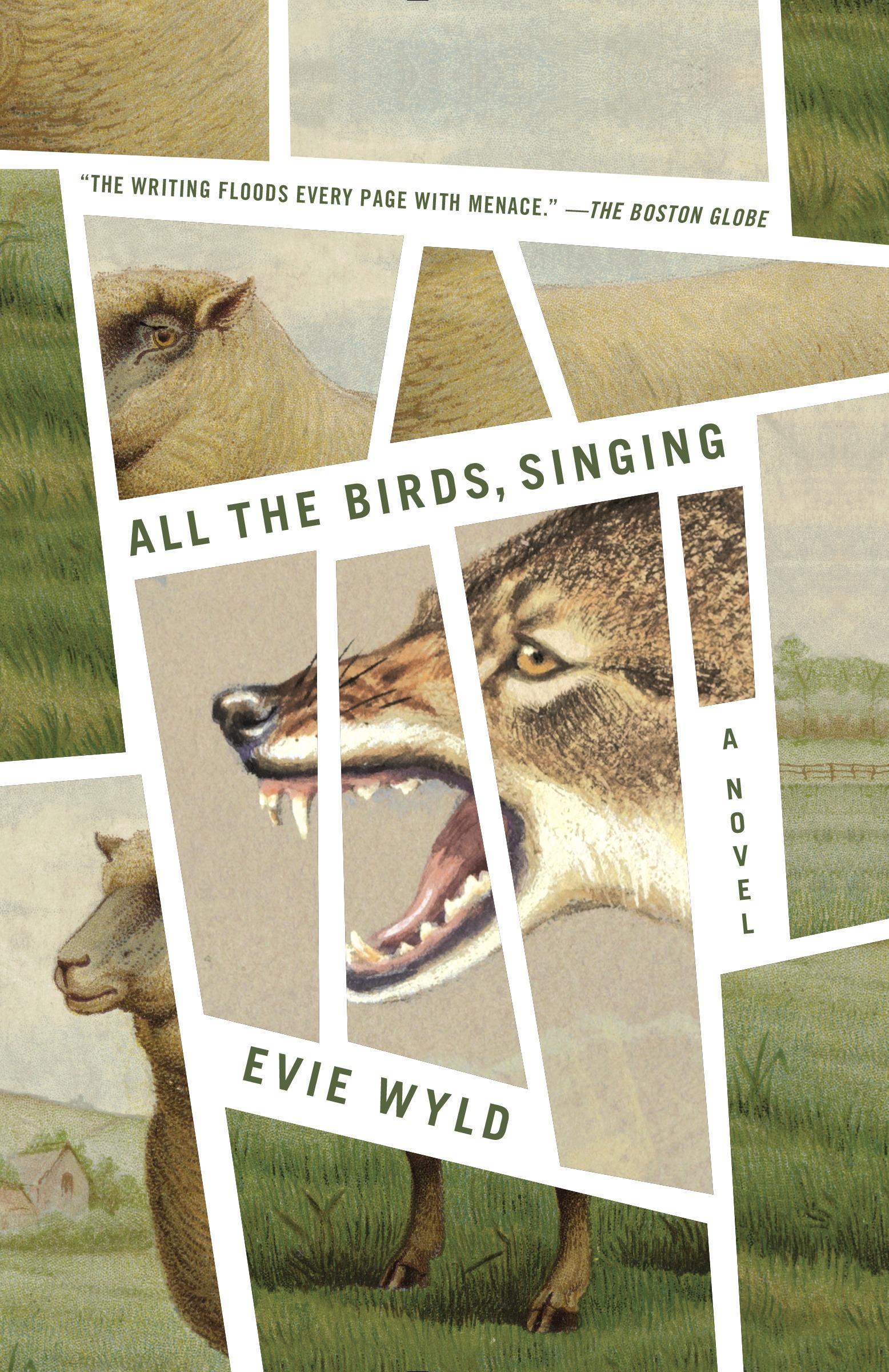 Vorderes Coverbild All the Birds, Singing