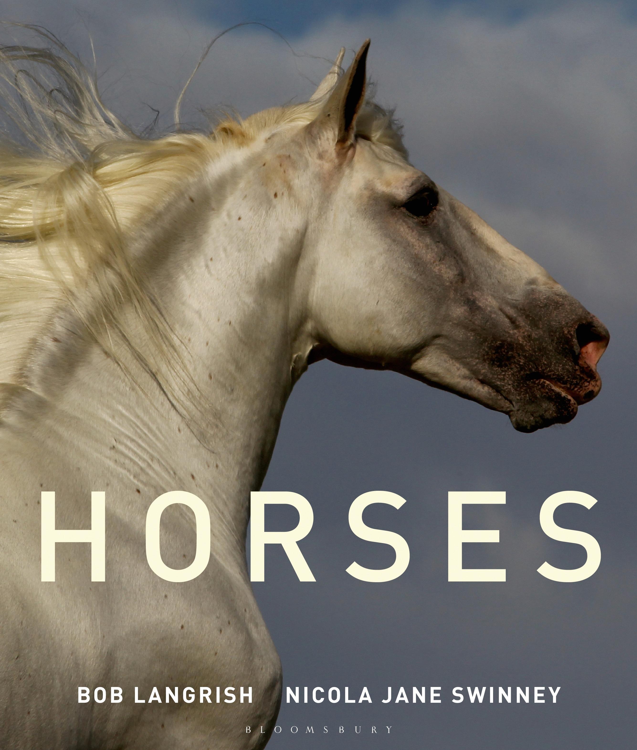 Vorderes Coverbild Horses