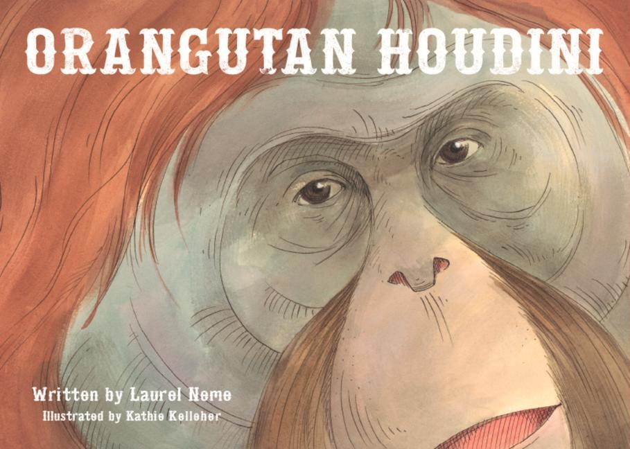 Vorderes Coverbild Orangutan Houdini
